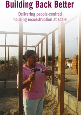 Building Back Better(English, Paperback, Lyons Michal)