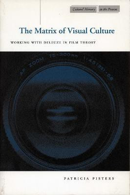 The Matrix of Visual Culture(English, Paperback, Pisters Patricia)