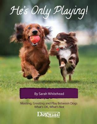 He's Only Playing(English, Paperback, Whitehead Sarah)