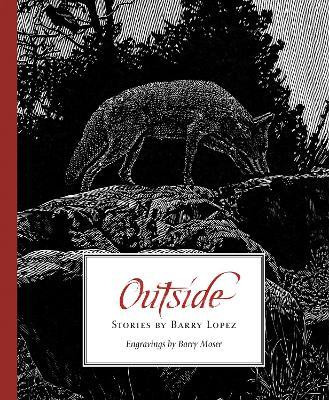 Outside(English, Paperback, Lopez Barry)