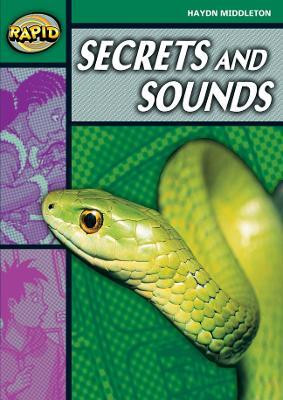 Rapid Reading: Secrets & Sounds (Stage 5, Level 5B)(English, Paperback, Middleton Haydn)