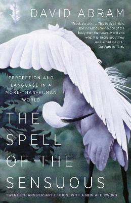 The Spell of the Sensuous(English, Paperback, Abram David)
