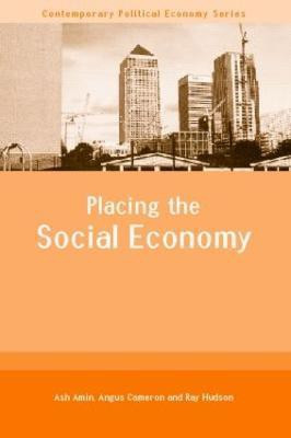 Placing the Social Economy(English, Paperback, Amin Ash)
