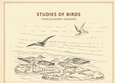 Studies of birds [Hardcover](Hardcover, Charles Murray Adamson)