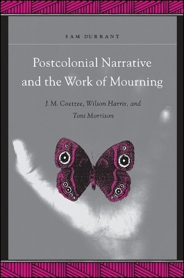 Postcolonial Narrative and the Work of Mourning(English, Hardcover, Durrant Sam)