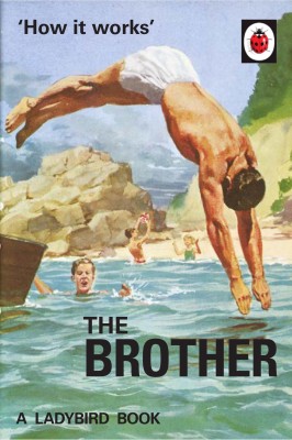 How it Works: The Brother(English, Hardcover, Hazeley Jason)