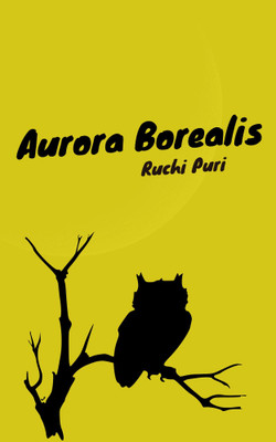 Aurora Borealis(Paperback, Ruchi Puri)