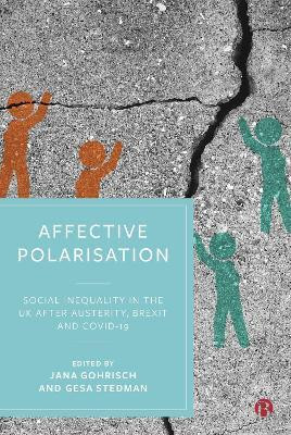 Affective Polarisation(English, Hardcover, unknown)