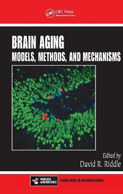 Brain Aging(English, Paperback, unknown)