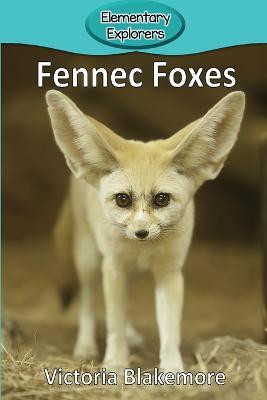 Fennec Foxes(English, Paperback, Blakemore Victoria)