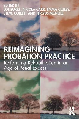 Reimagining Probation Practice(English, Paperback, unknown)