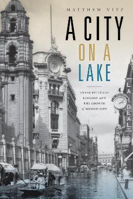 A City on a Lake(English, Paperback, Vitz Matthew)