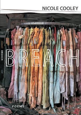 Breach(English, Paperback, Cooley Nicole)