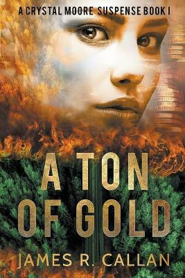 A Ton of Gold(English, Paperback, Callan James R)