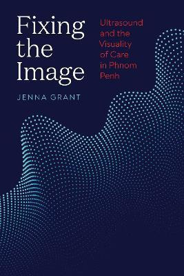 Fixing the Image(English, Hardcover, Grant Jenna)