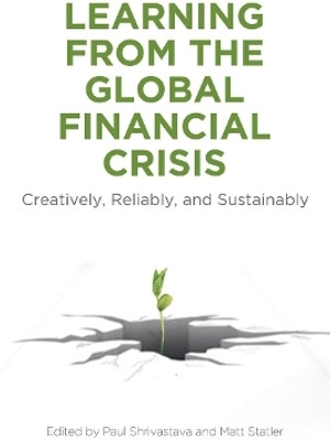 Learning From the Global Financial Crisis(English, Electronic book text, unknown)