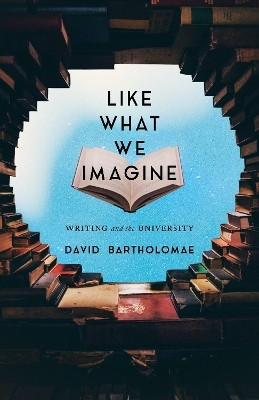 Like What We Imagine(English, Hardcover, Bartholomae David)
