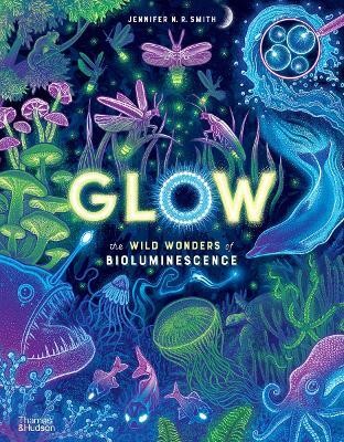 Glow(English, Hardcover, Smith Jennifer N. R.)