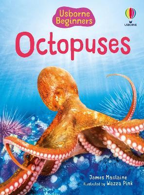 Beginners Octopuses(English, Hardcover, Maclaine James)