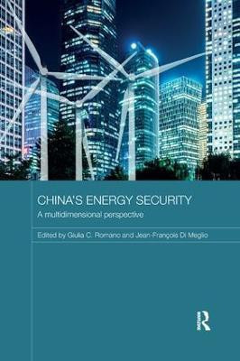 China's Energy Security(English, Paperback, unknown)