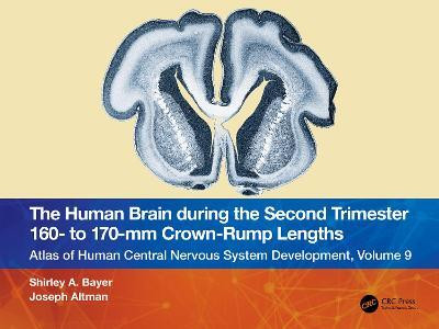 The Human Brain during the Second Trimester 160- to 170-mm Crown-Rump Lengths(English, Paperback, Bayer Shirley A.)