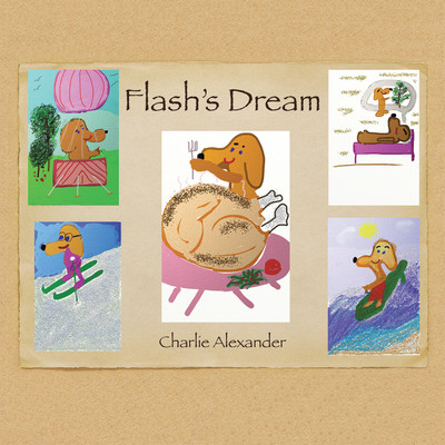 Flash's Dream(English, Paperback, Alexander Charlie)