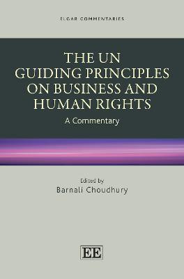 The UN Guiding Principles on Business and Human Rights(English, Hardcover, unknown)