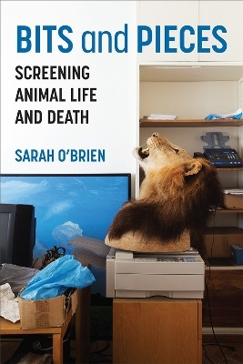Bits and Pieces(English, Hardcover, O'Brien Sarah)
