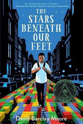 The Stars Beneath Our Feet(English, Hardcover, Moore David Barclay)