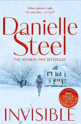 Invisible(English, Paperback, Steel Danielle)