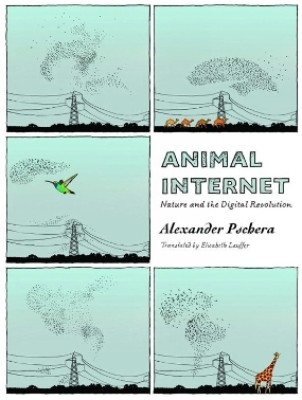 Animal Internet(English, Paperback, Pschera Alexander)