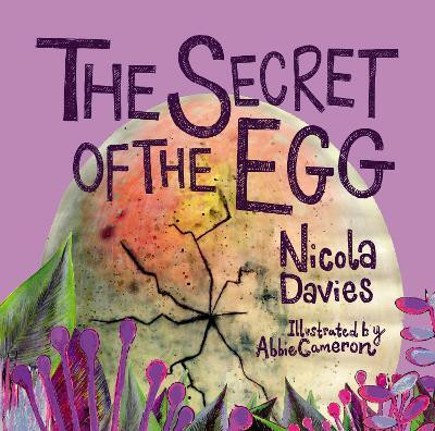 The Secret of the Egg(English, Paperback, Davies Nicola)