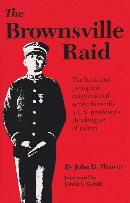 Brownsville Raid(English, Paperback, unknown)