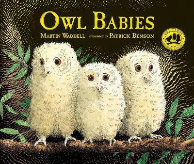Owl Babies(English, Hardcover, Waddell Martin)