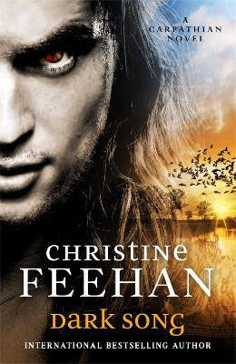 Dark Song(English, Paperback, Feehan Christine)