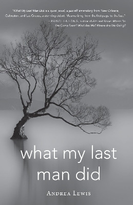 What My Last Man Did(English, Paperback, Lewis Andrea)