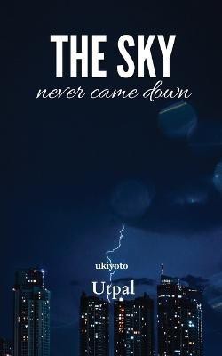 The Sky Never Came Down(English, Paperback, Utpal)