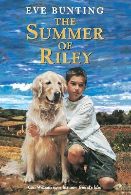 The Summer of Riley(English, Paperback, Bunting Eve)