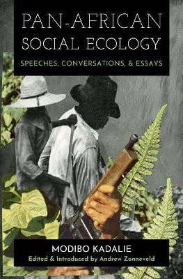 Pan-African Social Ecology(English, Paperback, Kadalie Modibo)