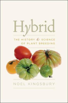 Hybrid(English, Hardcover, Kingsbury Noel)