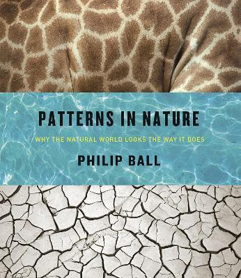 Patterns in Nature(English, Hardcover, Ball Philip)