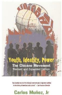 Youth, Identity, Power(English, Paperback, Munoz Carlos)