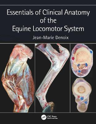Essentials of Clinical Anatomy of the Equine Locomotor System(English, Electronic book text, Denoix Jean-Marie)