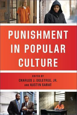 Punishment in Popular Culture(English, Hardcover, unknown)