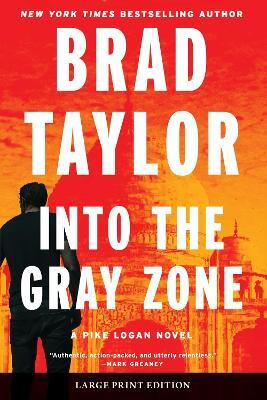 Into the Gray Zone(English, Paperback, Taylor Brad)