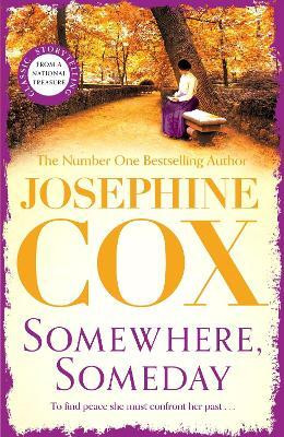 Somewhere, Someday(English, Paperback, Cox Josephine)