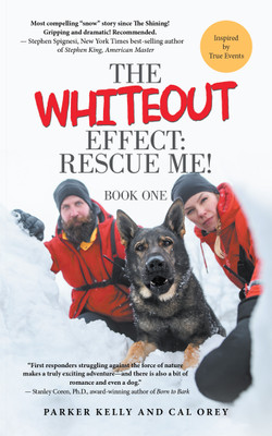 The Whiteout Effect(English, Paperback, Kelly Parker)