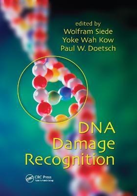 DNA Damage Recognition(English, Paperback, unknown)