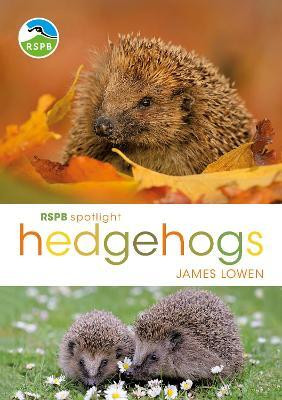 RSPB Spotlight Hedgehogs(English, Paperback, Lowen James)