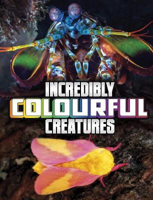 Incredibly Colourful Creatures(English, Paperback, Peterson Megan Cooley)